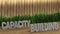 Poster lettering capacity building. Large letters on a wooden table. Modern decorative grass, backlit wall of wooden battens.