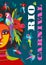 Poster with portrait of woman in brazil carnival outfit. Vector abstract illustration. Design for carnival concept and