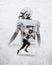 Poster with professional american football player in motion over white background with reflection effect. Sport
