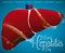 Poster with Renewed and Protected Liver on World Hepatitis Day, Vector Illustration