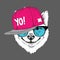 The poster of the sakita inu dog portrait in hip-hop hat and with headphones. Vector illustration.