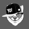 The poster of the sakita inu dog portrait in hip-hop hat. Vector illustration.