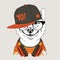 The poster of the sakita inu dog portrait in hip-hop hat. Vector illustration.