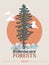 Poster to international forest day. Let`s save the trees! Colorful vector illustration