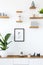 Poster on white wall above wooden cupboard with plant in simple