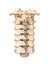 Posterior or rear or back view of the seven human cervical vertebrae isolated on white background 3D rendering illustration.