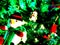 Posterized Snowman on Christmas tree in green light