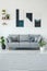 Posters above grey settee in bright living room interior with pl