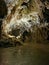 Postojna cave - Queen of the underworld, A World-Famous Natural Marvel