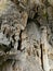 Postojna cave - Queen of the underworld, A World-Famous Natural Marvel