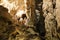 Postojna cave, Slovenia. Formations inside cave with stalactites