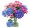 Posy of pink roses and blue hortensia flowers close up