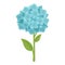 Posy style scent flower icon cartoon vector. Floral blossom