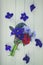 Posy of violets, pansies and ranunculus