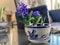 Pot with blossom blue hyacinth bulbs on the balcony glass table. home gardening