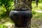 A pot for cooking over an open fire, hanging on the tree. For hikes. Men\'s style