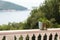 A pot of flowers on the balcony balustrade with a beautiful view