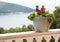 A pot of flowers on the balcony balustrade with a beautiful view