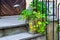 Pot with flowers and watering can on the stairway to the house.