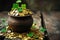 Pot of gold coins and Green Four Leaf Clovers Saint Patrick\\\'s Day theme