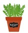 Pot with growing arugula ruccola, rocket salad leaves isolated over white. Vector hand drawn illustration.