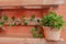 pot hanging from a decorative wooden pallet