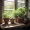 pot of herbals arranged on a windowsill