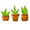 Pot of a house plant. Set of Brown flowerpot. Green leaves and gardening