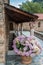 Pot of Hydrangeas in the Romanesque Abbey of Saint Martin du Can