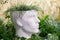 Pot for indoor plants in the shape of a head of man, that made of plaster.