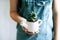 A pot with little succulents is in the woman`s hands.