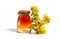 Pot marigold oil and flowers isolated