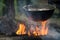 Pot with meat stew, boiling on bonfire flame, in a tourist camp in the wild forest