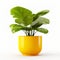 pot paired with a lush, green plant, isolated against a pristine white background.