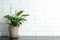 Pot with peace lily on table against brick wall.