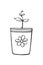 Pot with a plant sprout, seedlings. Hand drawn simple black outline vector illustration in doodle style, isolated. Design element