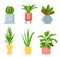 Pot plants. Different houseplants with green leaves, succulents and cactus. Scandinavian decorative elements for home