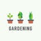 Pot Plants Gardening Concept