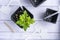 a pot with a tomato sprout, peat pots for seedlings, garden labels and a pencil