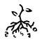 potato bush plant glyph icon vector illustration