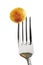 Potato croquette on fork, close-up