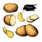 Potato drawing set. Vector Isolated potatoes heap, sliced