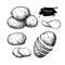 Potato drawing set. Vector Isolated potatoes heap, sliced pieces