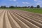 Potato field, freshly plowed