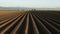 Potato field in spring - camera tilting up