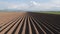Potato field in spring after sowing - camera moves toward horizon