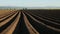 Potato field in spring - sowing rows on farmland