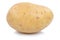 Potato fresh vegetable isolated