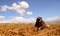 Potato Harvest in the Andes