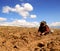 Potato Harvest in the Andes